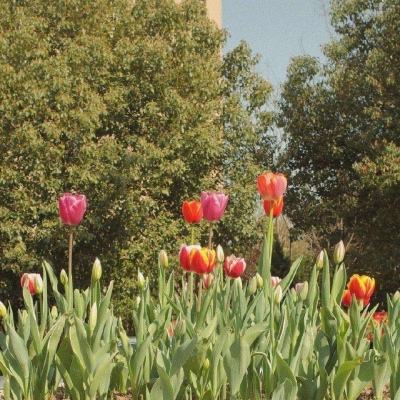 半岛(中国)体育