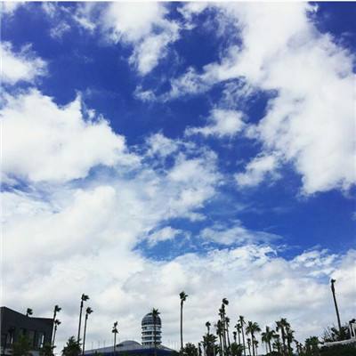 998娱乐彩票安卓APPapp下载截图